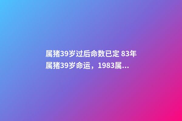 属猪39岁过后命数已定 83年属猪39岁命运，1983属猪人的命运-第1张-观点-玄机派